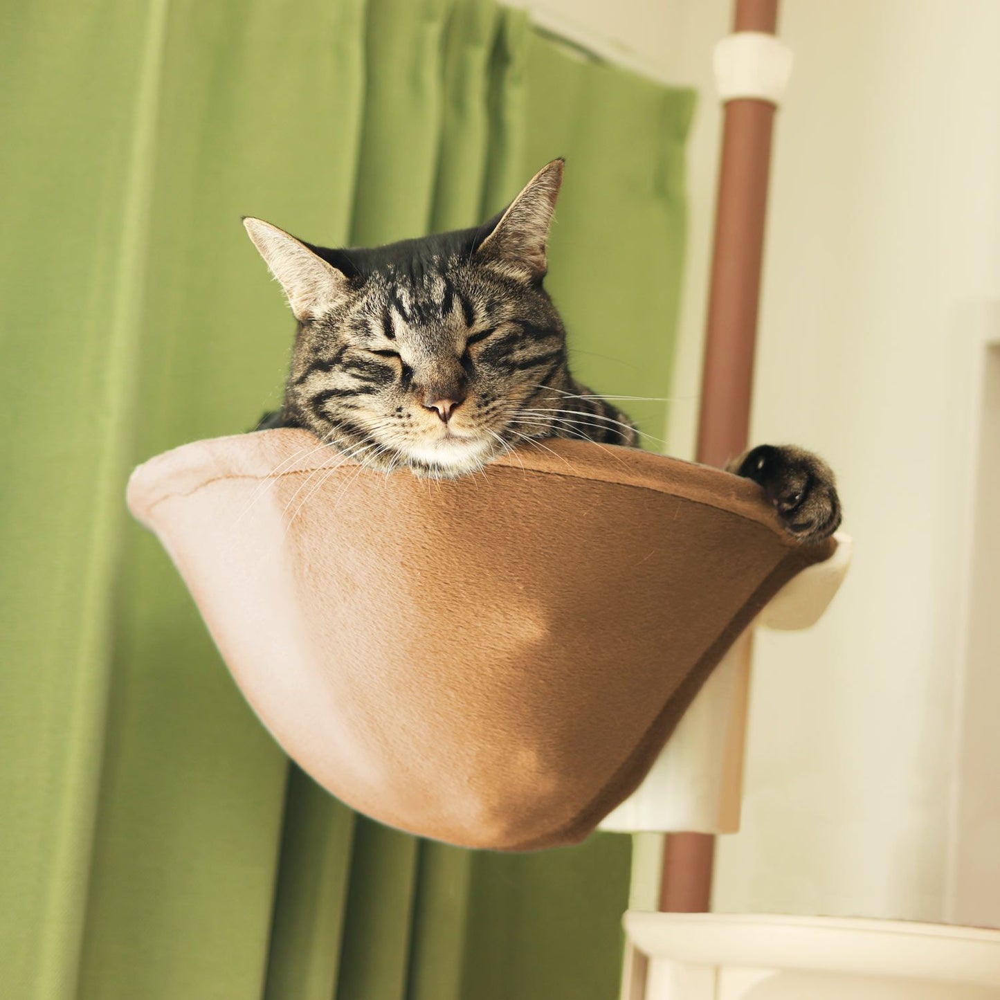 Nekoリビング キャティーポール ハンモック付きキャットタワー 猫用省スペースタワー【 送料無料】