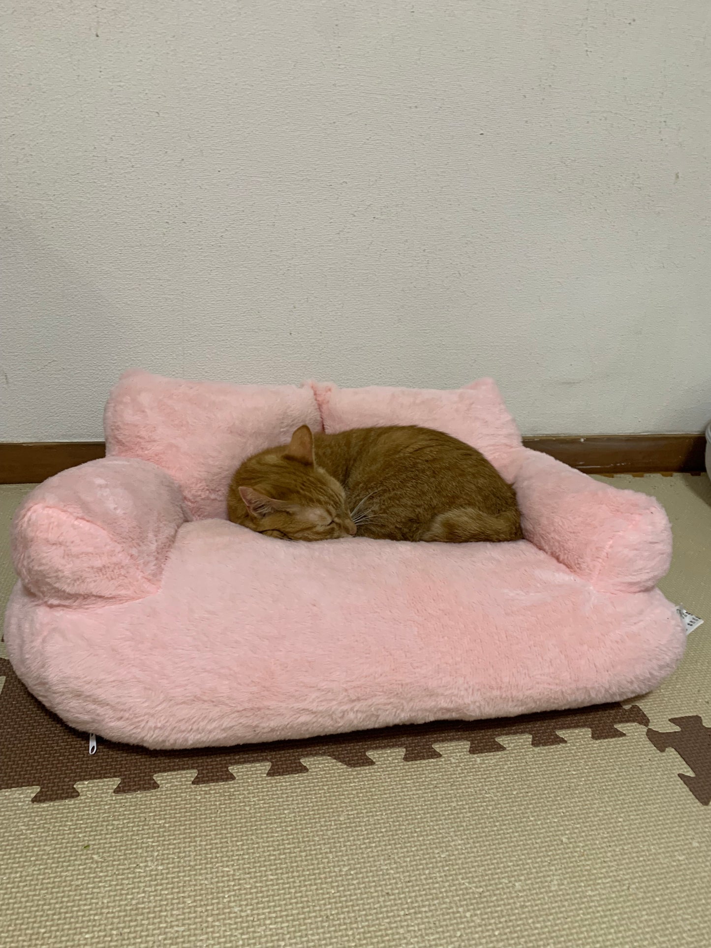 ふわもこキャットソファ（洗える/犬猫用/サクラピンク）【送料無料】