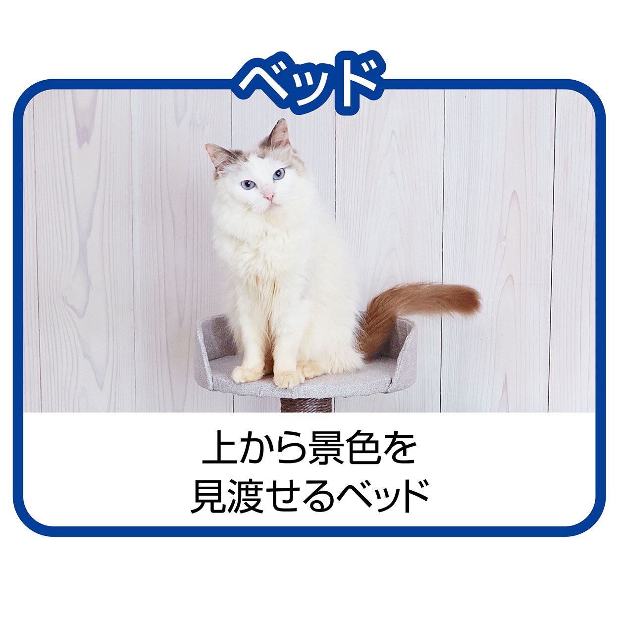 ねこまどキャットポール｜おしゃれな猫用キャットタワー 爪とぎ＆クリアボウル付き【送料無料】
