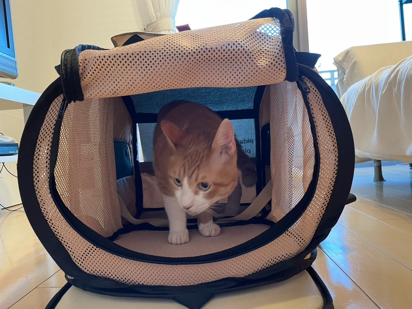 ペット用トラベルリュック折りたたみハウス型｜拡張可能・猫トイレ付き・持ち運び便利 【送料無料】