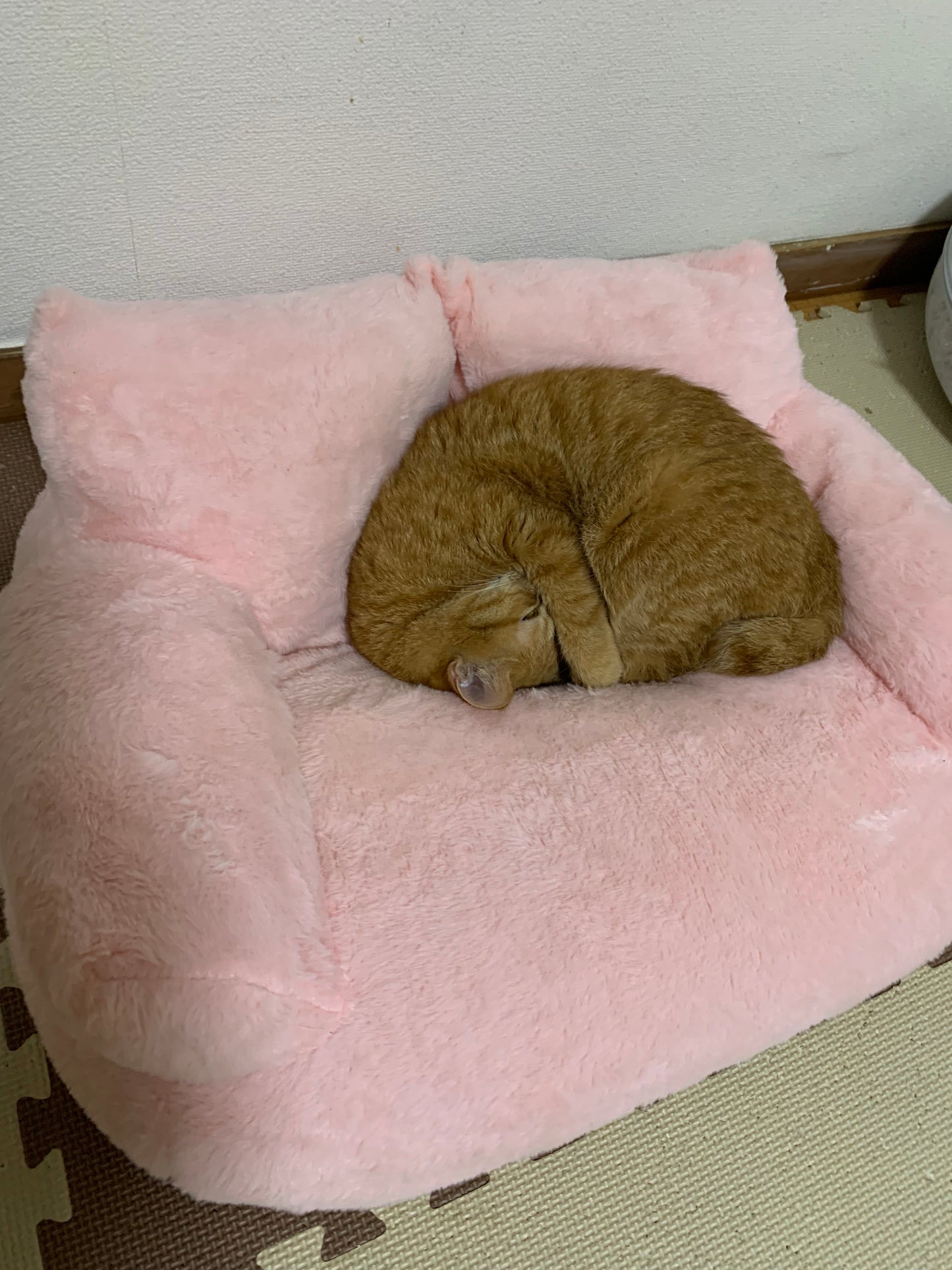 ふわもこキャットソファ（洗える/犬猫用/サクラピンク）【送料無料】